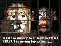 circus animals no fun